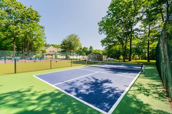 A pickleball court